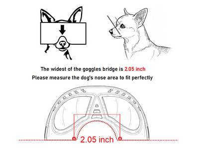Gafas de Sol Grandes para Perros - Image 11