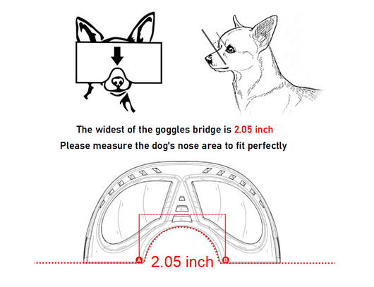 Gafas de Sol Grandes para Perros - Image 11