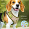 Arnés Pectoral Transpirable para Perros - Ajustable y Cómodo