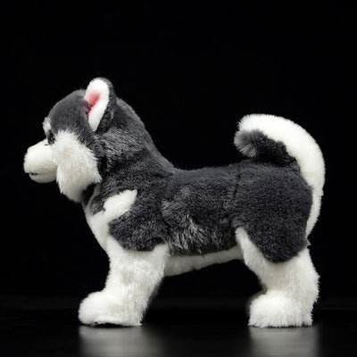 Peluche Perro Husky Siberiano Gris - Muñeco Realista de Simulación - Image 2