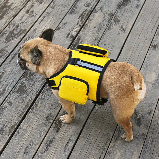 Mochila Portátil Multifunción para Mascotas con Correa - Image 14