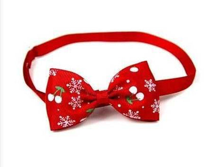 Collar de Aseo para Mascotas - Grooming para Perros y Gatos - Image 3