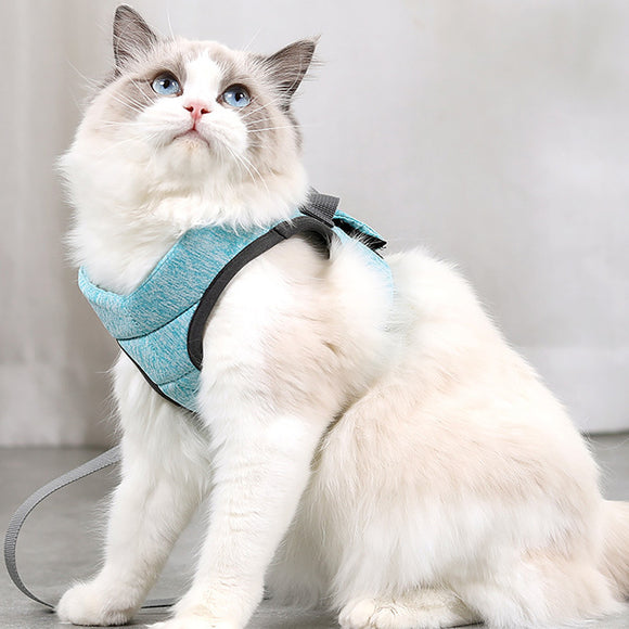 Arnés de Pecho Ligero y Transpirable con Cuerda de Encaje para Gato