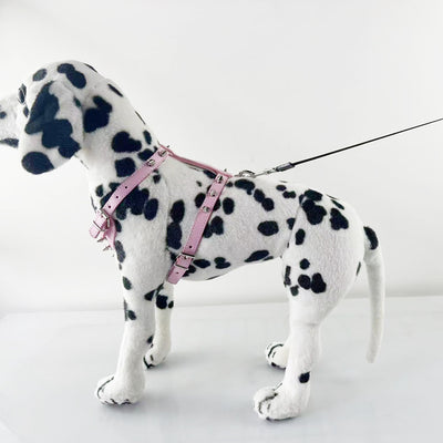 Arnés de Cuero con Tachuelas para Perros Pequeños - Chaleco Protector Negro - Image 14