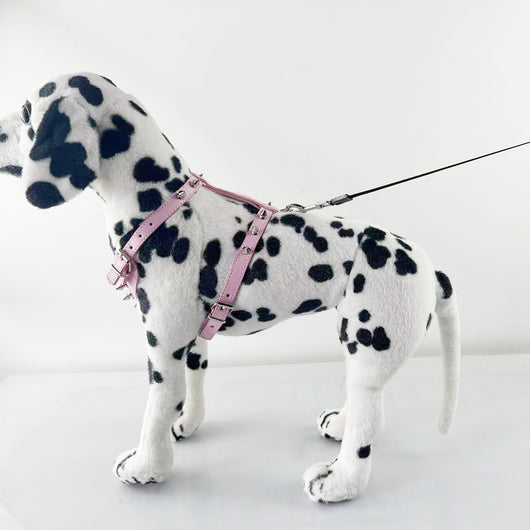 Arnés de Cuero con Tachuelas para Perros Pequeños - Chaleco Protector Negro - Image 14