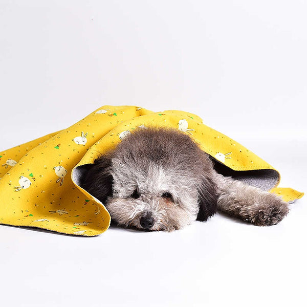 Manta Cama Doble Faz de Algodón para Mascotas
