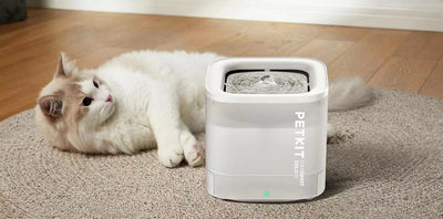 Dispensador Inteligente de Agua para Mascotas con Filtro Inalámbrico - Image 7