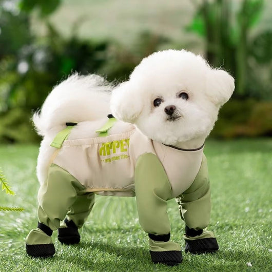 Pantalones Impermeables Reflectantes para Perros - Ajustables y Resistentes a Manchas - Image 10