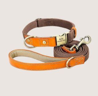 Collar de Cuero para Perro con Placa Antiextravío - Image 13