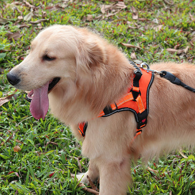 Arnés Ajustable y Cómodo para Pasear Perros - Image 4