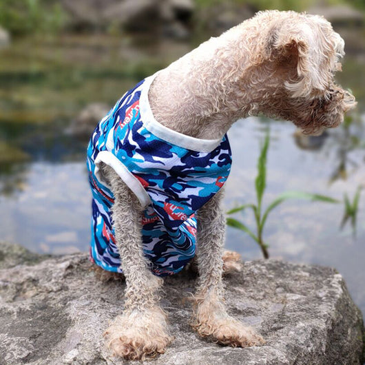 Chaleco de Camuflaje para Perros Primavera Verano - Image 7