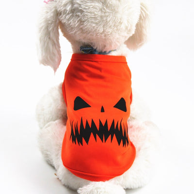 Disfraz de Calabaza para Mascotas - Halloween - Image 3