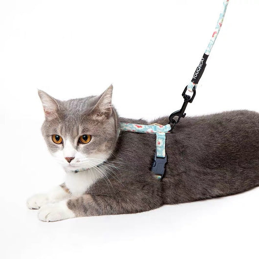 Cuerda Deslizante para Gatos