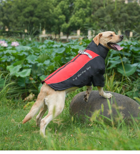 Abrigo Térmico de Polar para Perros - Image 14