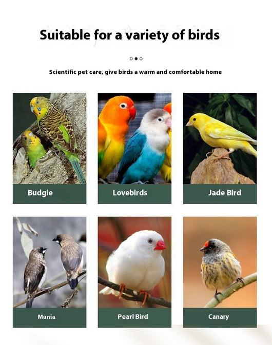 Colorful parrot swing toy with a natural wood perch, an arch of multicolored beads, and two small bells. - Image 21