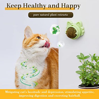 Pelotas de Catnip Adhesivas para Pared - Juguetes Dentales para Gatos - Image 4