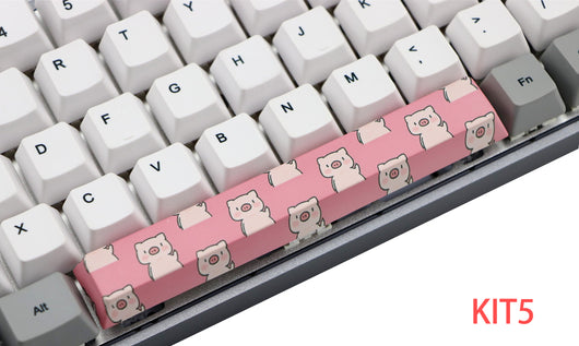 Keycap Mecánico PBT Sublimado de 5 Caras 6.25U - Image 29