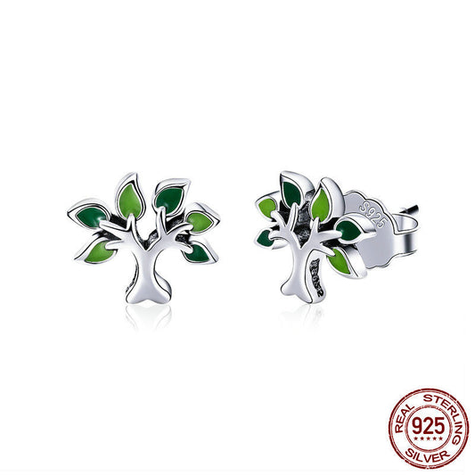 Aretes de Corazón en Plata
