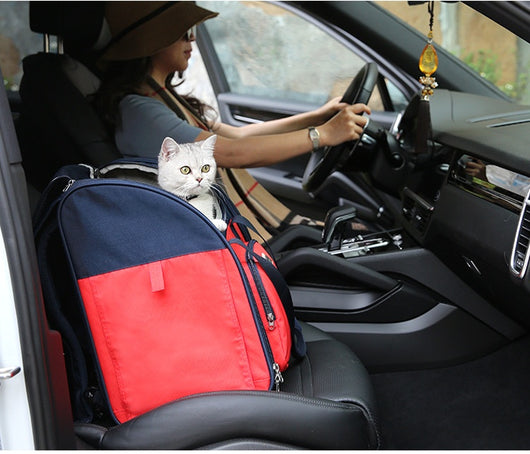 Mochila Transpirable Impermeable para Mascotas - Perros y Gatos - Image 11