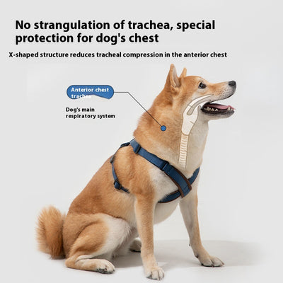 Cuerda Interactiva para Perros Corgi y Shiba Inu - Juguete de Tracción Doble - Image 3