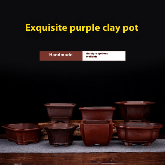 Maceta Decorativa de Arcilla Púrpura Personalizable para Escritorio