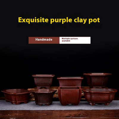 Maceta Decorativa de Arcilla Púrpura Personalizable para Escritorio