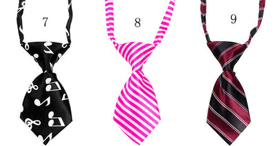 Pajarita para Mascotas - Accesorio Elegante - Image 10