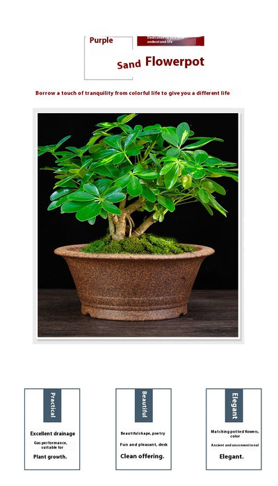 Maceta de Cerámica Refractaria para Orquídeas, Clivias y Plantas Verdes - Image 11