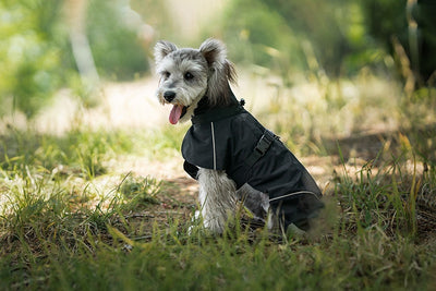 Poncho Impermeable Universal para Perros Pequeños y Medianos - Image 22