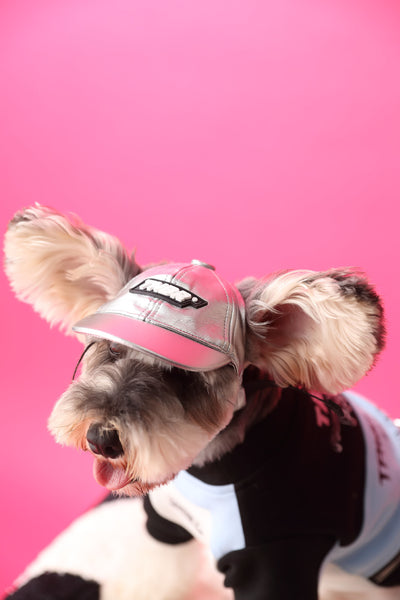 Suéter con Cierre para Perro - Diseño Acolchado y Cómodo - Image 7