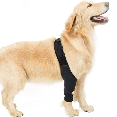 Rodillera Protectora para Perros - Soporte Articular y Recuperación Postoperatoria - Image 5
