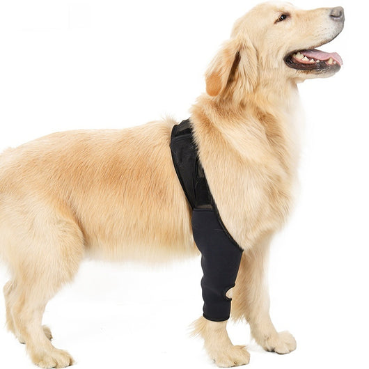 Rodillera Protectora para Perros - Soporte Articular y Recuperación Postoperatoria - Image 5