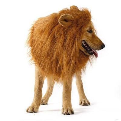 Disfraz de León para Mascotas - Peluca Cálida con Orejas para Perros y Gatos - Image 7