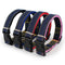 Random Color Collar
