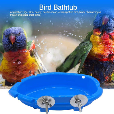 Comedero y Baño Multifuncional para Aves - Image 2