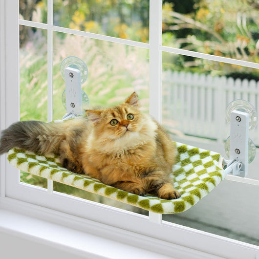 Hamaca Colgante para Gatos con Ventana de Cristal
