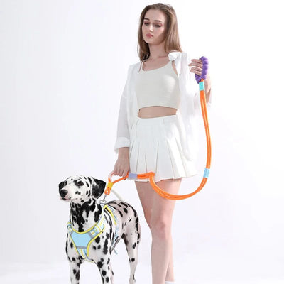 Correa de Tracción para Perros con Mango Acolchado Antideslizante - Image 26