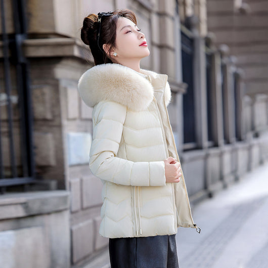Chaqueta Acolchada de Algodón con Gorro Desmontable - Image 10