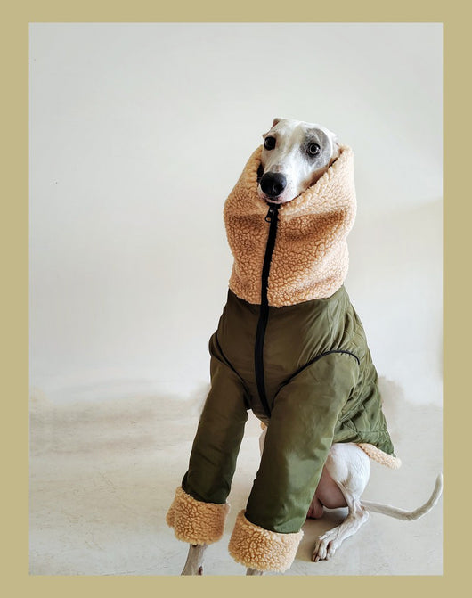 Abrigo Reversible de Lana Polar Gruesa para Galgos y Whippets - Image 12