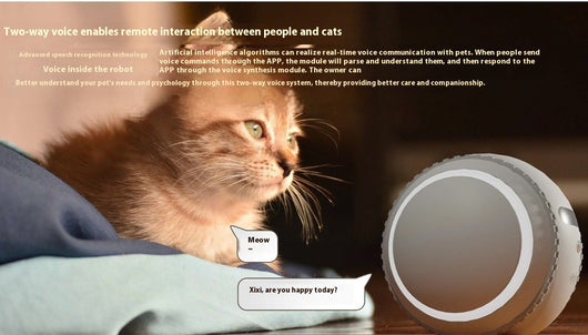 Gato Robot Inteligente con Monitoreo en Vivo - Image 16