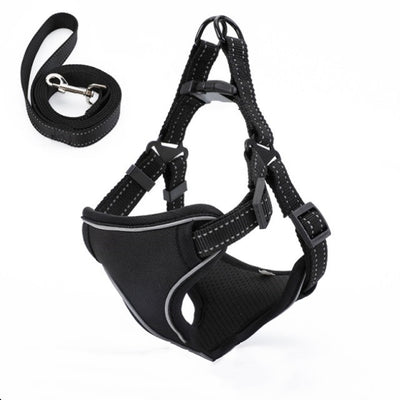 Arnés Chaleco para Pasear Perros con Cuerda Integrada - Image 13
