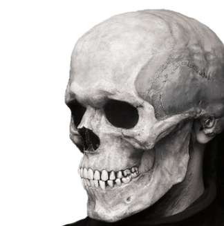 Calavera Halloween Terrorífica con Mandíbula Móvil y Luz Fluorescente - Image 6