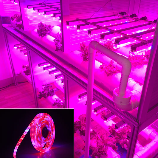 Barra LED de Crecimiento 5050 Luz Suave 5M para Plantas - Image 4