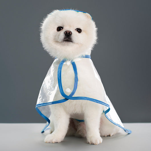 Impermeable Transparente para Perros - Image 9