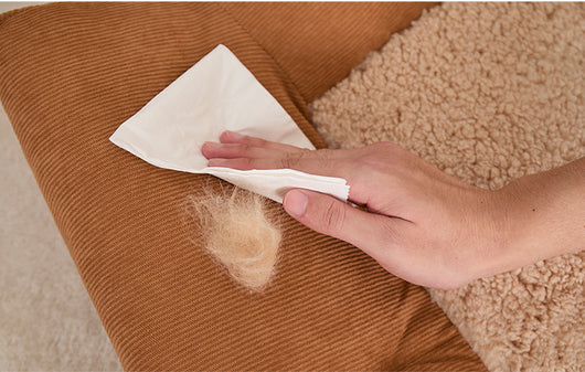 Cama Térmica para Mascotas 4 Estaciones - Nido Acogedor para Perros y Gatos - Image 9