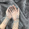 Blanco And Negro Dots