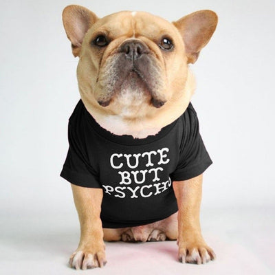Polera Cuello Alto para Mascotas - Diseño Clásico y Cómodo - Image 16