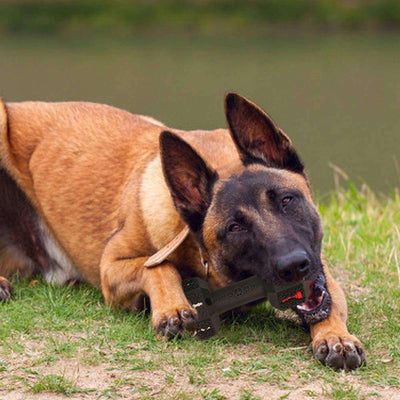 Juguete Mordedor Resistente para Perros Grandes - Limpieza Dental y Entretenimiento - Image 4