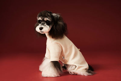 Ropa Térmica para Perros - Abrigo Waffle Otoño e Invierno - Image 23
