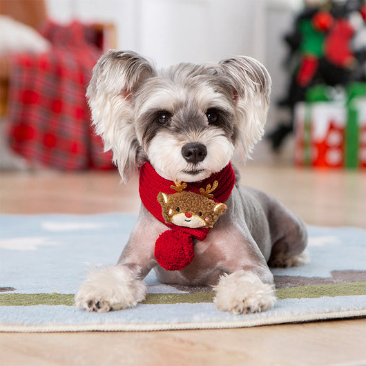 Suéter Navideño Tejido Personalizado para Mascotas - Image 10